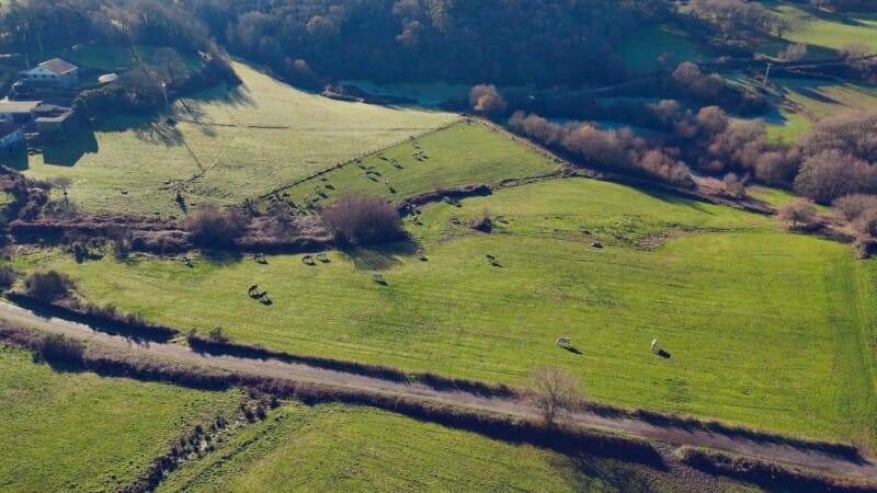 O Concello da Estrada crea RuralMente