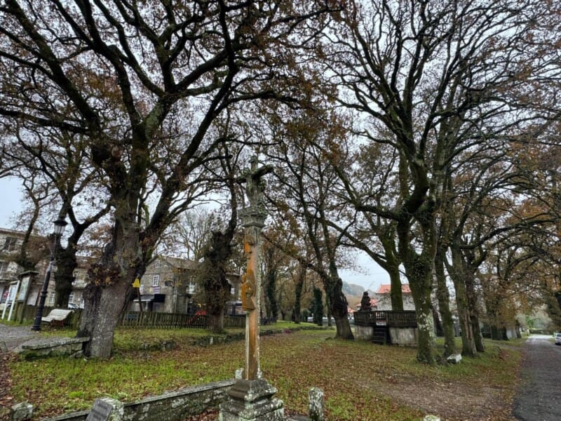 Obradoiro A Estrada Emprega Foresta 2026